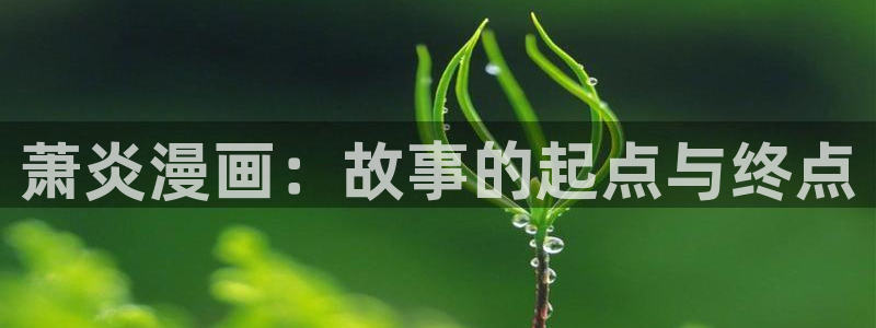 歪歪漫画主页：萧炎漫画：故事的起点与终点