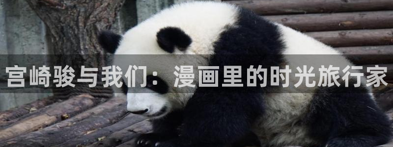 歪歪漫画的网站：宫崎骏与我们：漫画里的时光旅行家