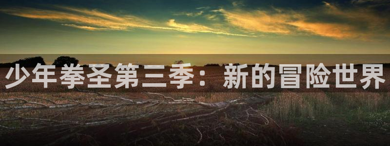 歪歪漫画,网站入口：少年拳圣第三季：新的冒险世界