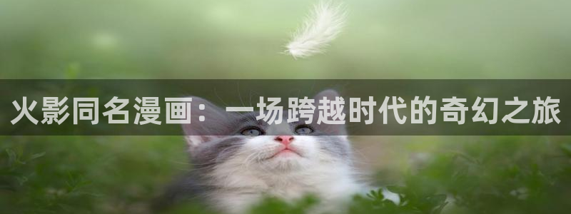 歪歪漫画漫画免费观看：火影同名漫画：一场跨越时代的奇幻之旅