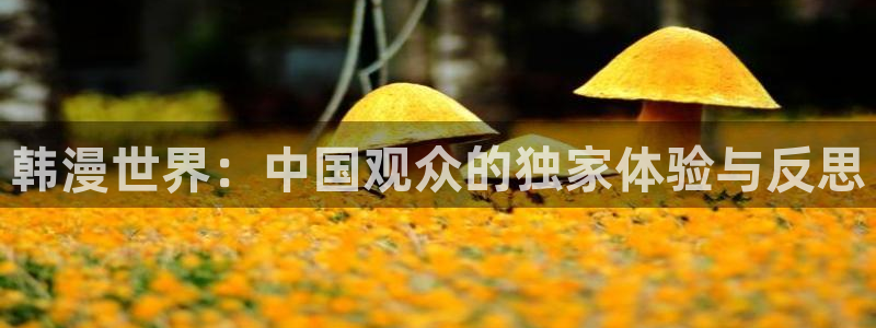 歪歪漫画在线yymh：韩漫世界：中国观众的独家体验与反思